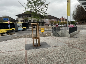 Sanierung Kreuzung durch Kreisel, Anpassung Personenunterf&uuml;hrung